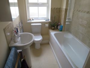 Picture 7
