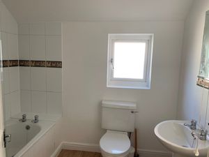 Picture 15
