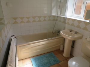 Picture 5