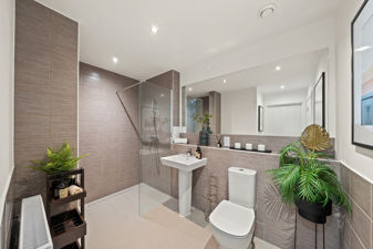 Picture 7