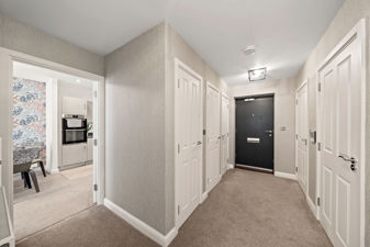 Picture 20