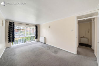 Picture 11
