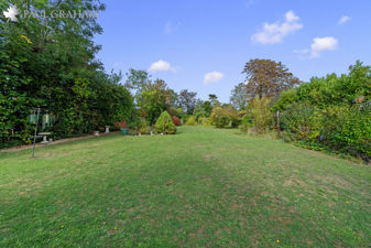 Picture 14