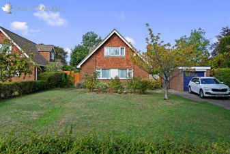 Picture 20