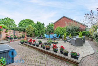Picture 20