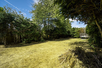 Picture 22