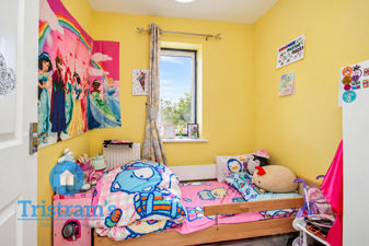Picture 13