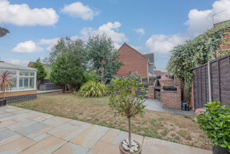 Picture 20