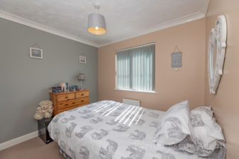 Picture 15