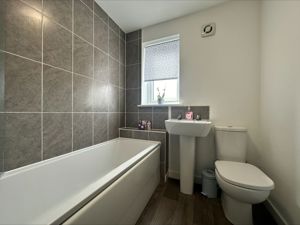 Picture 12