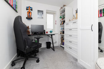 Picture 15