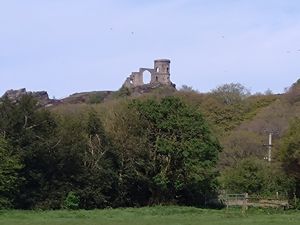 Picture 25