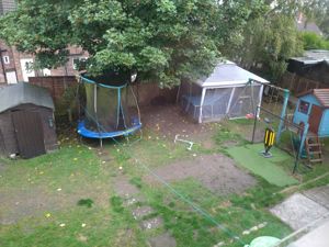 Picture 14