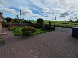 Picture 19