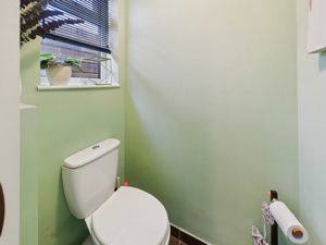Picture 23