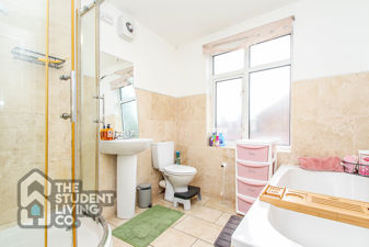 Picture 11