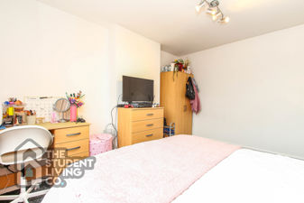 Picture 13