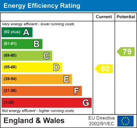 60 of 79 Energy Efficiency Score