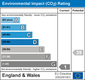 Environmental impact chart