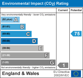 Environmental impact chart