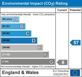 Environmental impact chart