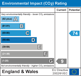 Environmental impact chart