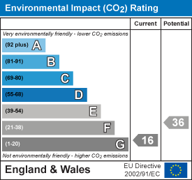 Environmental impact chart