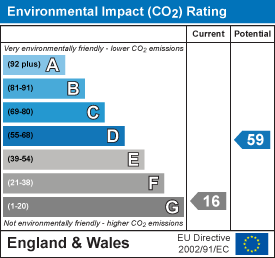 Environmental impact chart