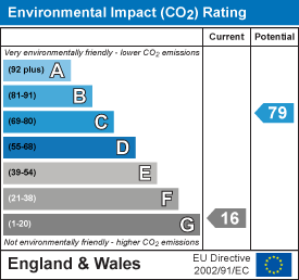 Environmental impact chart