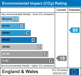 Environmental impact chart