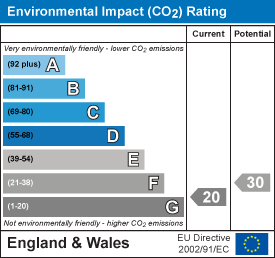 Environmental impact chart