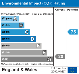 Environmental impact chart