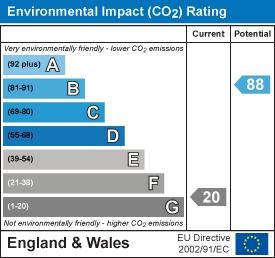 Environmental impact chart