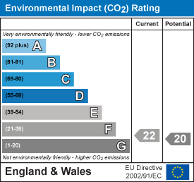 Environmental impact chart