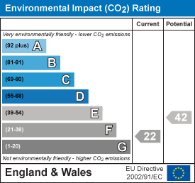 Environmental impact chart