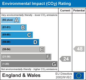 Environmental impact chart