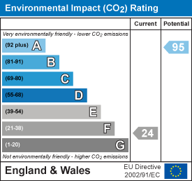 Environmental impact chart