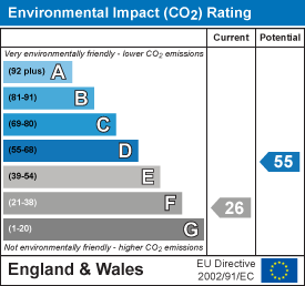 Environmental impact chart