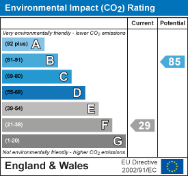 Environmental impact chart