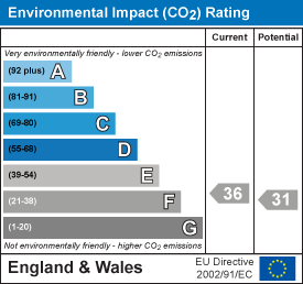 Environmental impact chart
