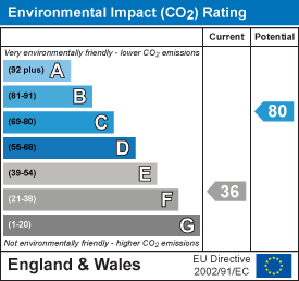 Environmental impact chart