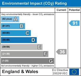 Environmental impact chart