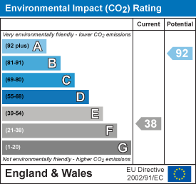 Environmental impact chart