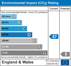 Environmental impact chart