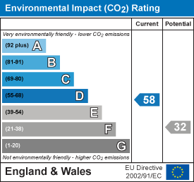 Environmental impact chart