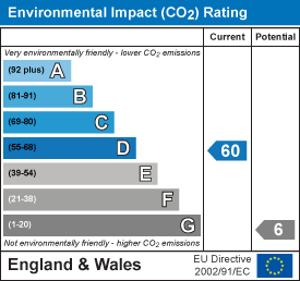 Environmental impact chart