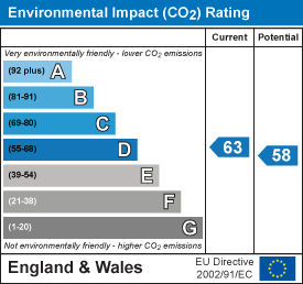 Environmental impact chart