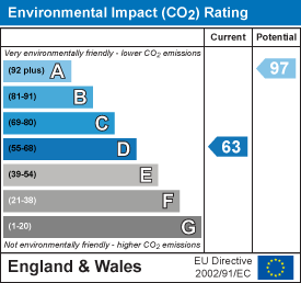 Environmental impact chart