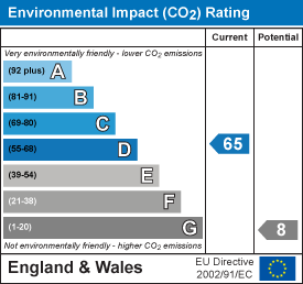 Environmental impact chart