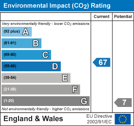 Environmental impact chart